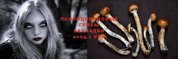 МДПВ Волоколамск