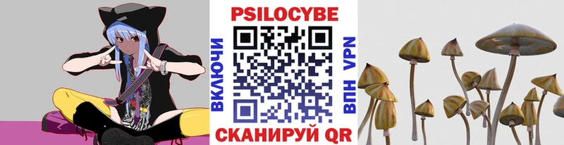 Галлюциногенные грибы Psilocybine cubensis  Лысьва 